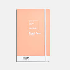 Pantone Peach Fuzz A5 Journal